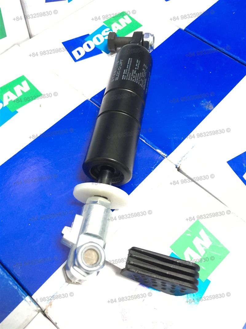 TY GẬT GÙ (DX55W)