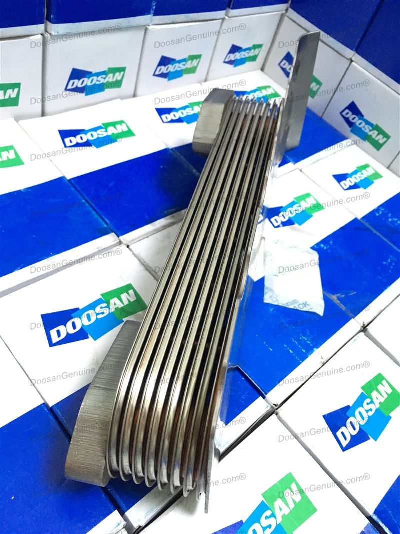 KÉT SINH HÀN (DL08)