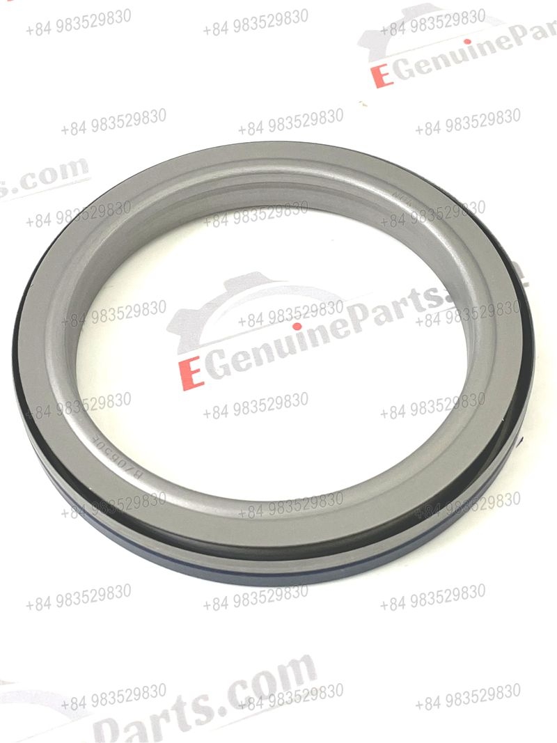 PHỚT ĐẦU TRỤC CƠ (DL08)